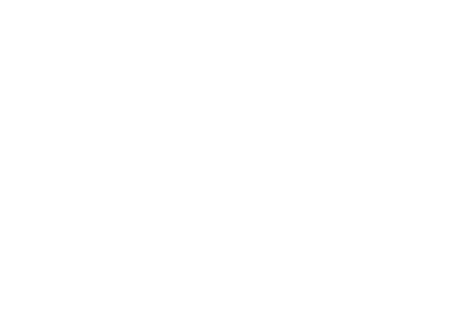 AAA FITS logo